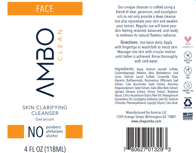 AMBO clarifying cleanser