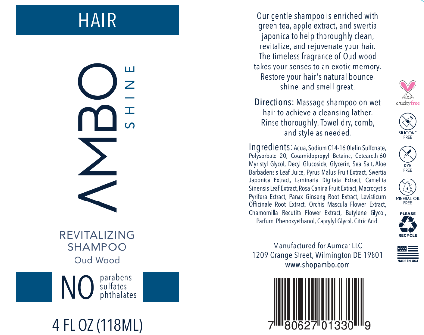 Ambo hair revitalizing shampoo